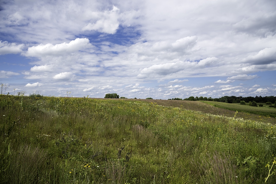 Clouds above the grasses in Middleton, Wisconsin