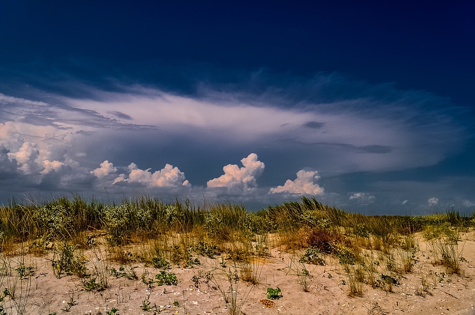 Nature scene horizon