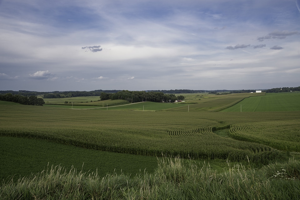 Farms and rows of crops under skies in Wisconsin