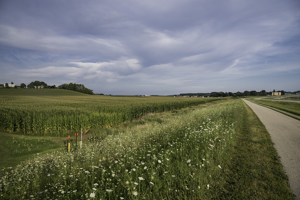 Landscape by biking path under cloudy skies