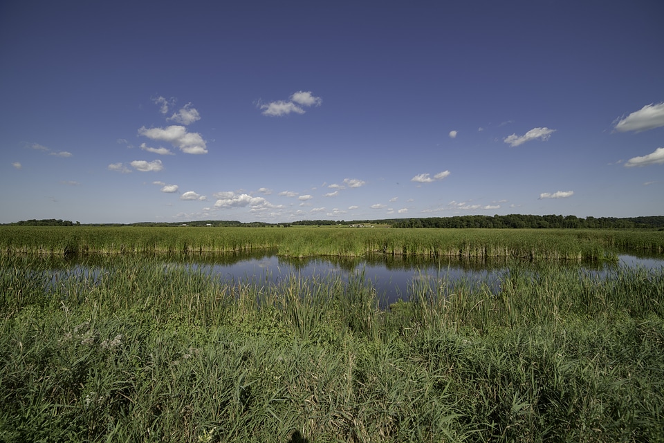 Marsh Pond, landscape, and visitor's center in the distance at Horicon Marsh
