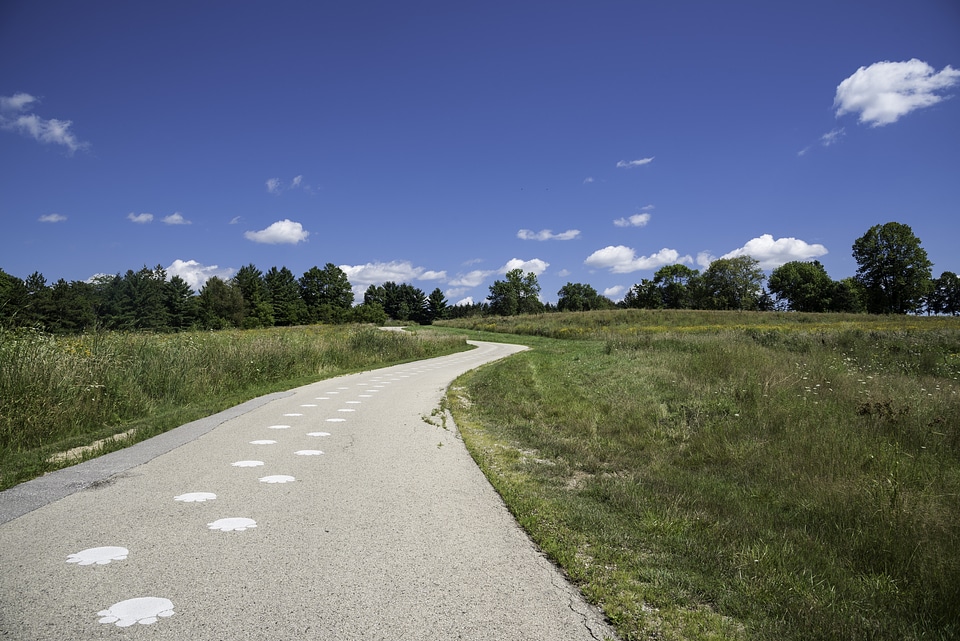 White Paw Paint on the road leading into the Visitor's Center