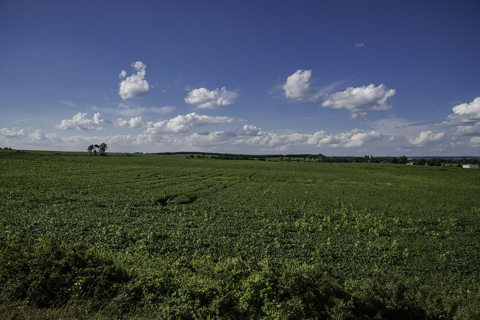 Farm Landscape to the Horizon