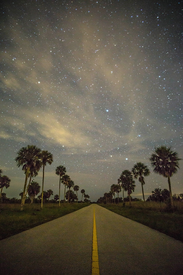 Cloudy stars at night at Big Cypress National Preserve