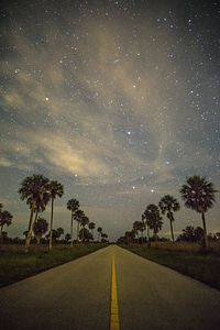 Cloudy stars at night at Big Cypress National Preserve photo