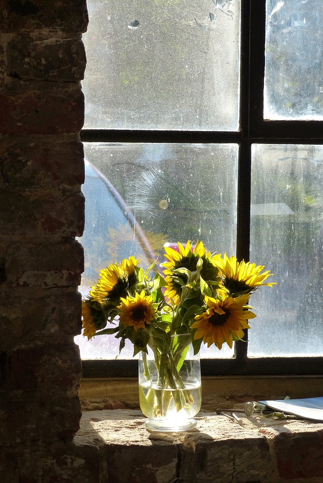 Flower old brickyard factory