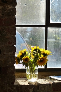 Flower old brickyard factory
