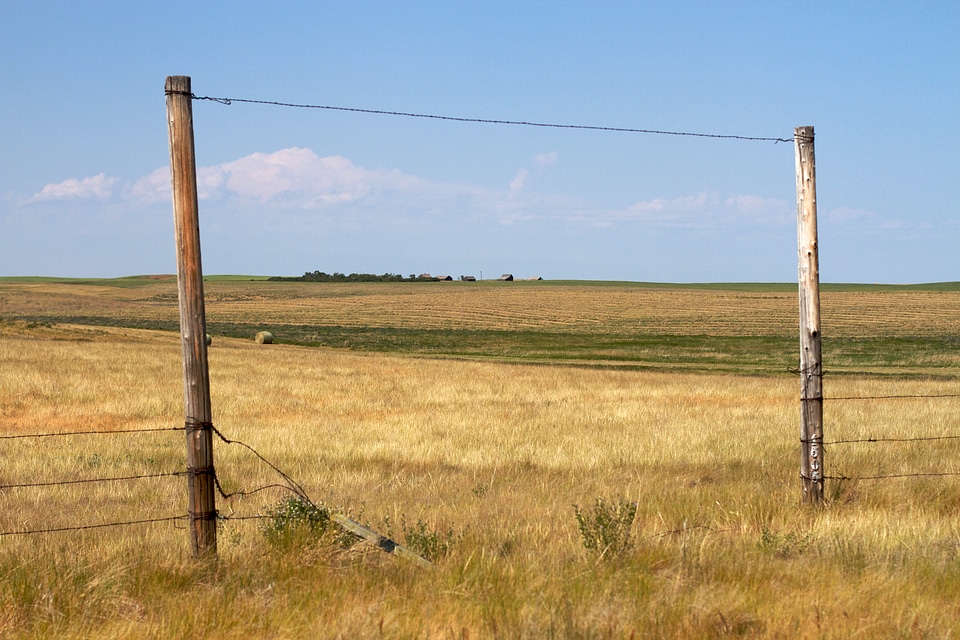 Montana Driveway landscape