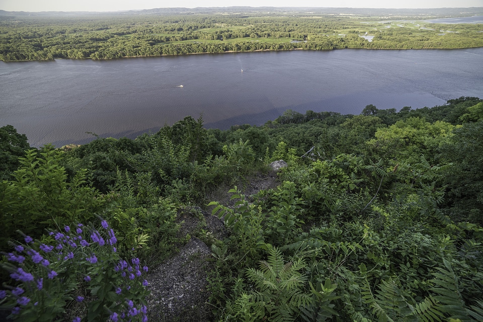 Pathway down to the Mississippi at Great River Bluffs State Park
