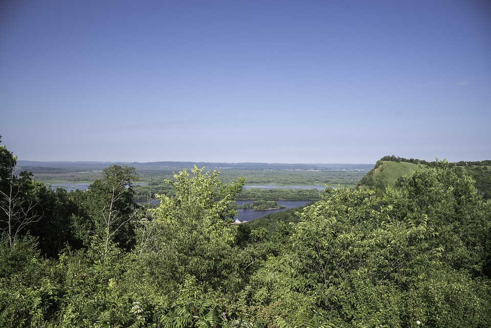 View of the Mississippi in King's Bluff 