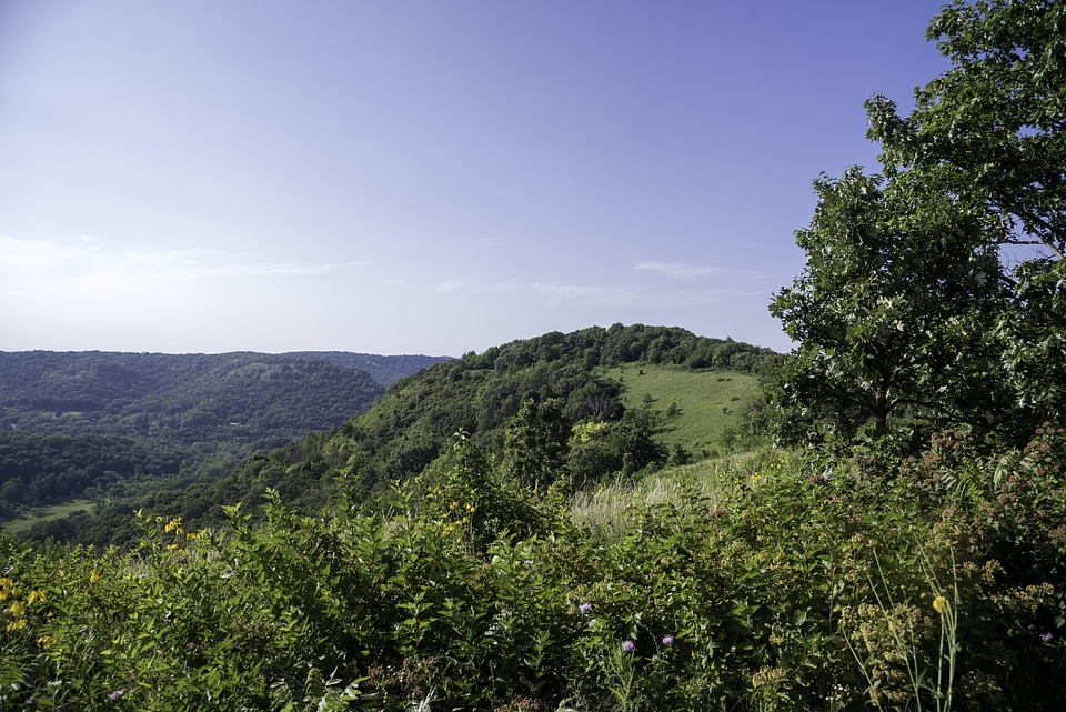 View from King's Bluff at Great River Bluffs State Park