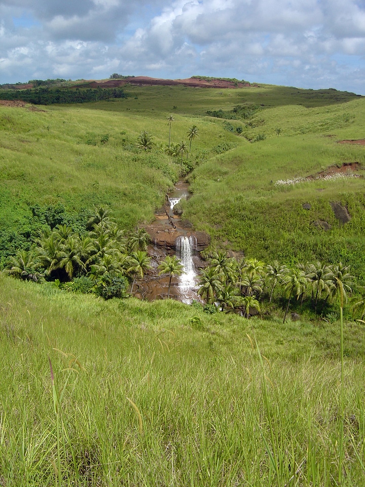 Mountain Stream in Guam Highlands