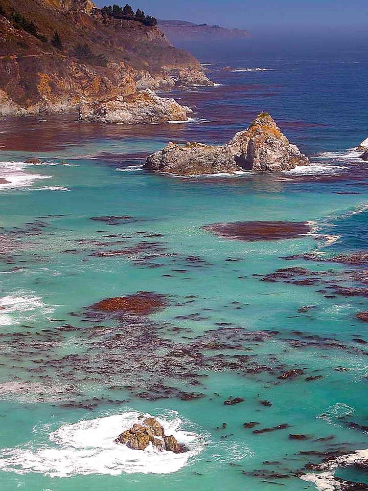 Big Sur rocky coast, fog and giant kelp in California