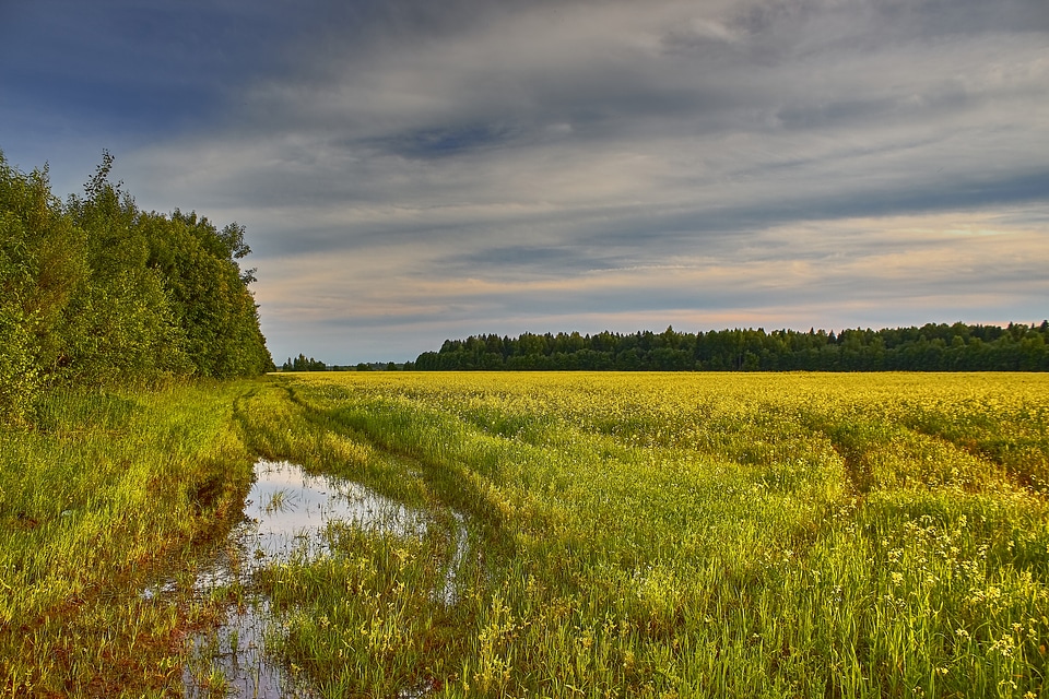 Wetlands landscape under the clouds