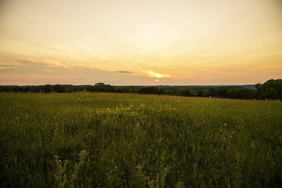 Dusk and sunset over the grassland in Cross Plains State Park