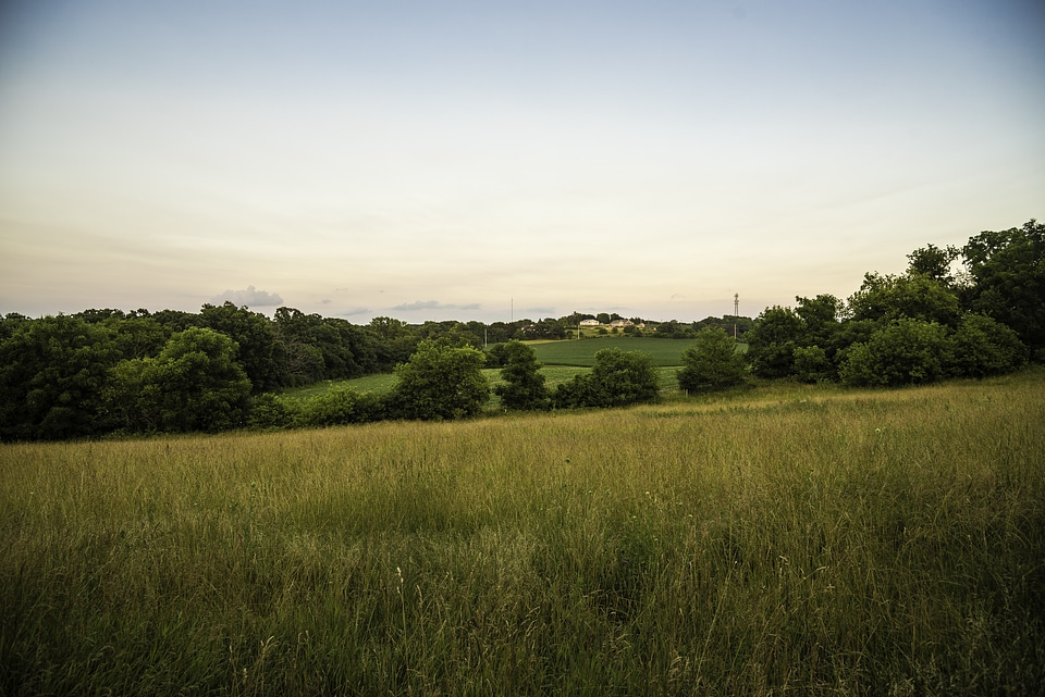 Grassland, landscape, and homestead at Cross Plains State Park