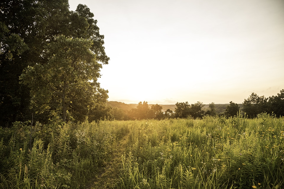 Golden Sunset over the hiking path at Cross Plains State Park