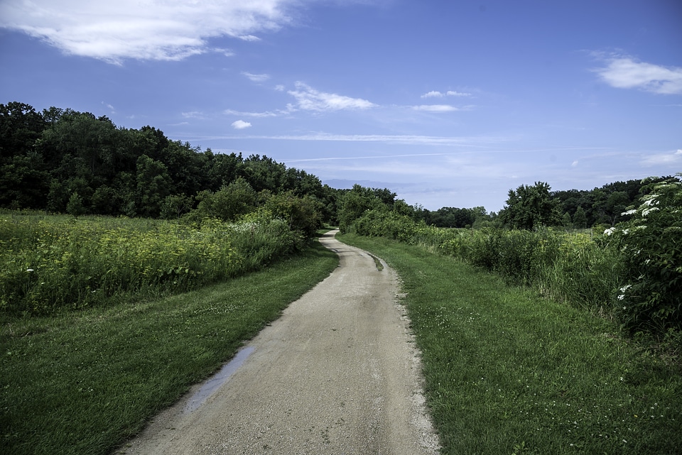 Hiking Trail on a clear day at Camrock County Park