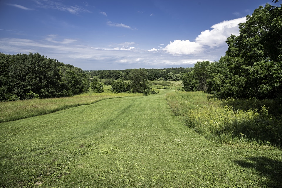 Scenic Landscape of grassy Trail at Camrock County Park