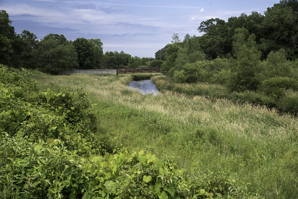 Grassfield landscape and bridge at Camrock County Park