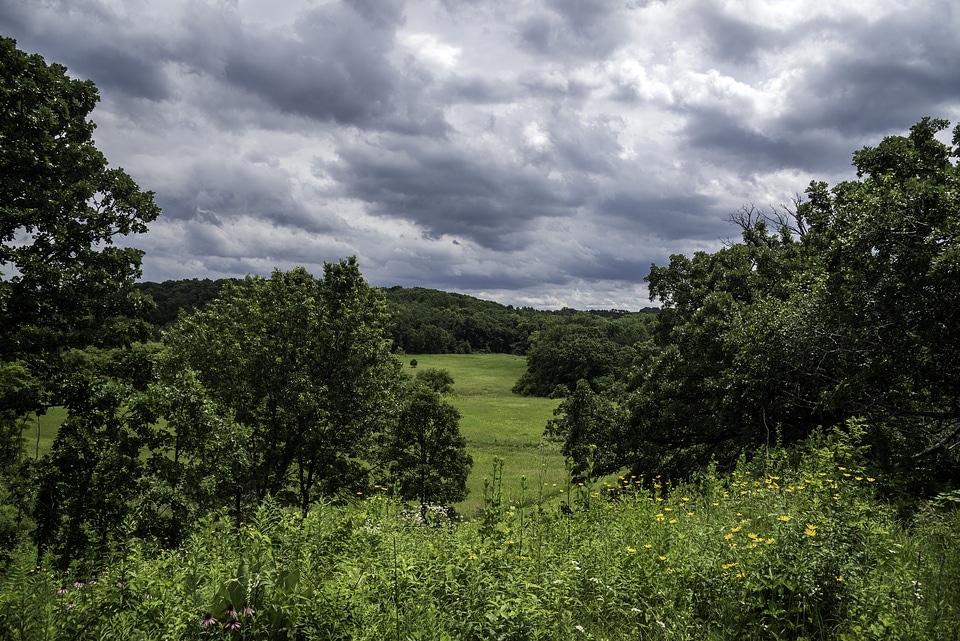 Heavy Clouds over the grassland and trees at Indian Lake County Park
