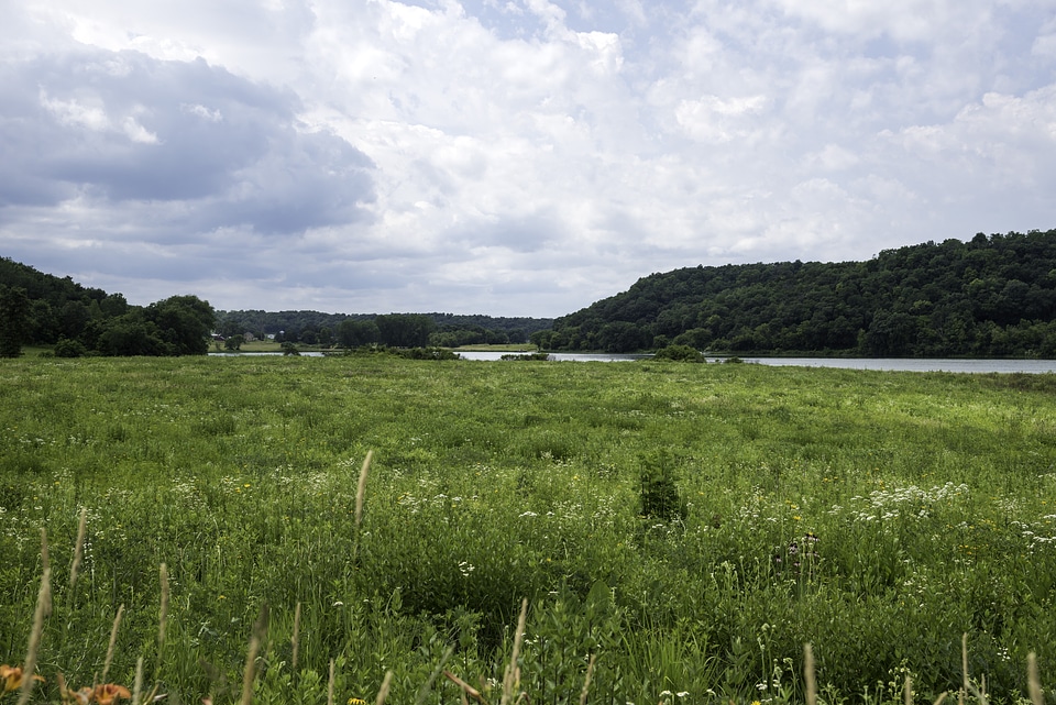 Greenery landscape with grass and lake at Indian Lake