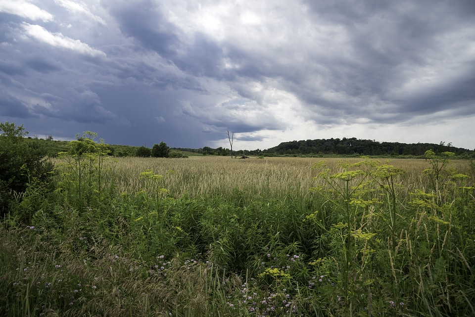 Stormy Clouds over the Grassland and Marsh at Goose Lake Wildlife Area