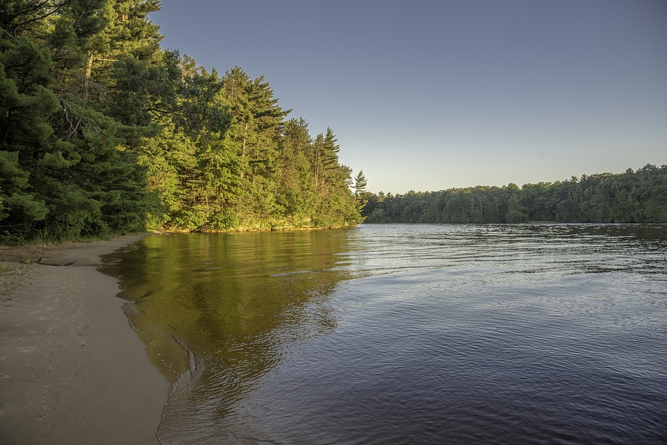 Trees, Forest, and shoreline on the Wisconsin River