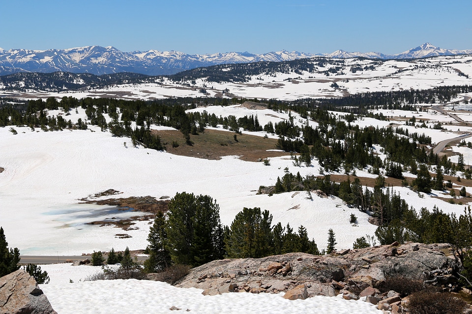 Snowy Winter Landscape in Montana