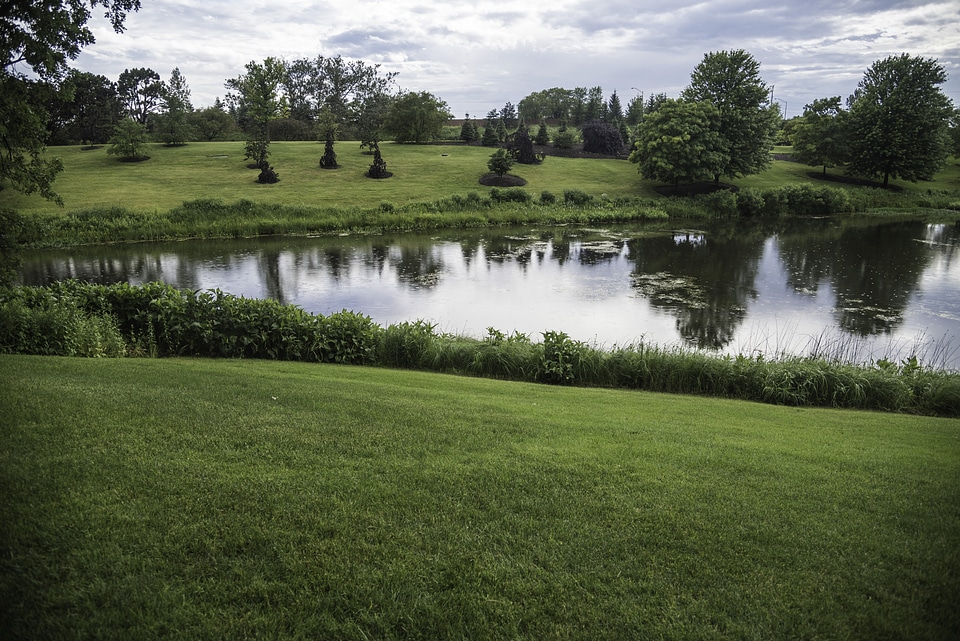 Grass, lawn, and landscape at Chicago Botanical Gardens