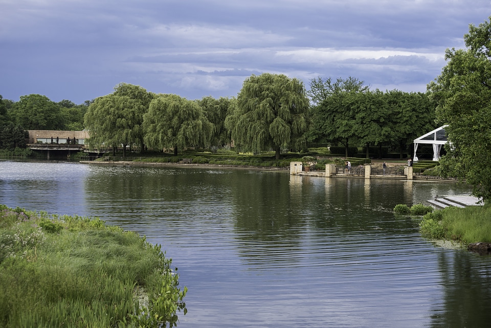Landscape with lake with trees