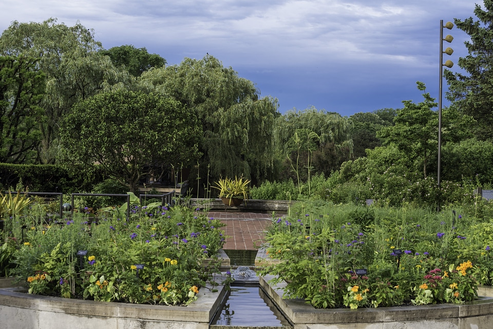 Garden plants and trees