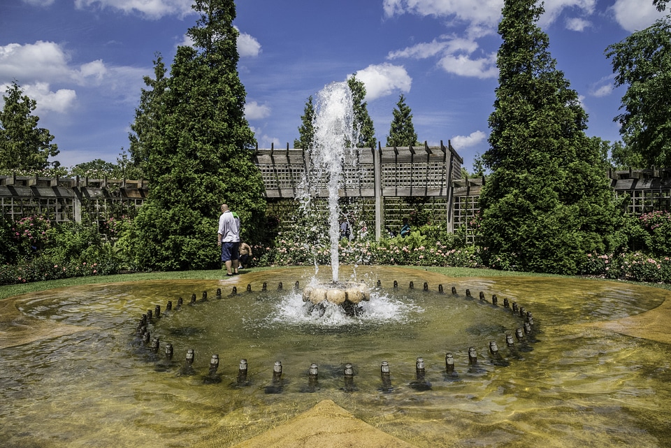 Fountain in the Rose Garden