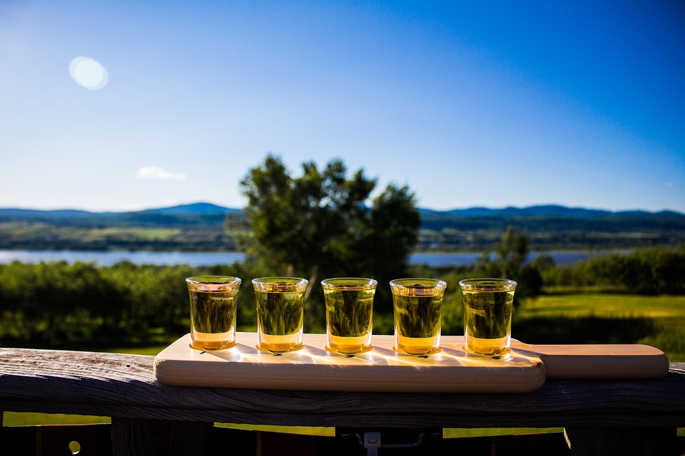 Row of Cups with beverage 