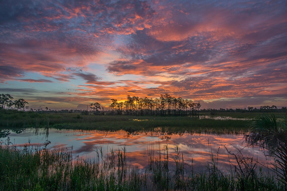 Sunset and Dusk over Big Cypress National Preserve