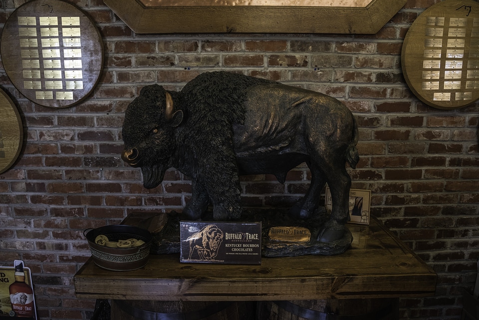 Buffalo Statue in the visitor's center at Buffalo Trace Distillery