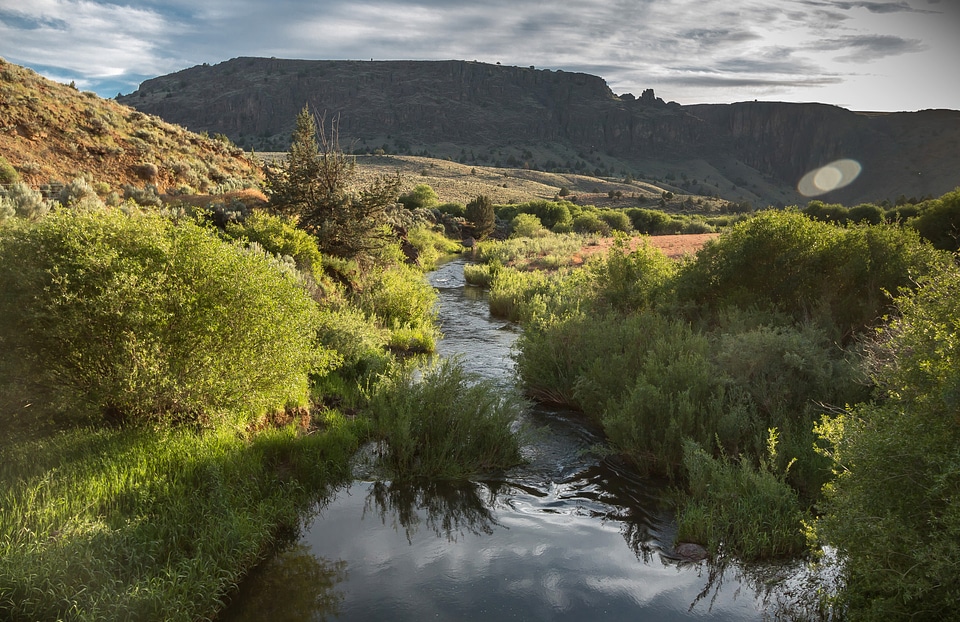 North Fork Owyhee in Oregon