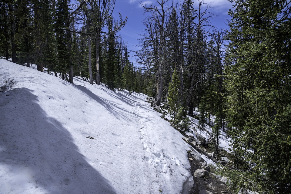 Snow sloping down the mountain in Elkhorn
