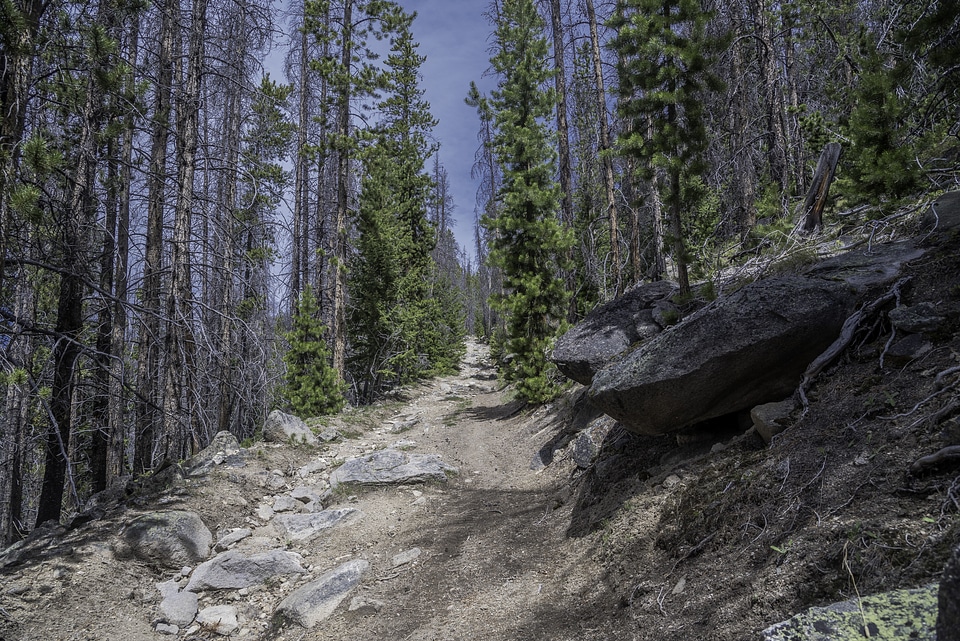 Hiking path up Elkhorn Mountain