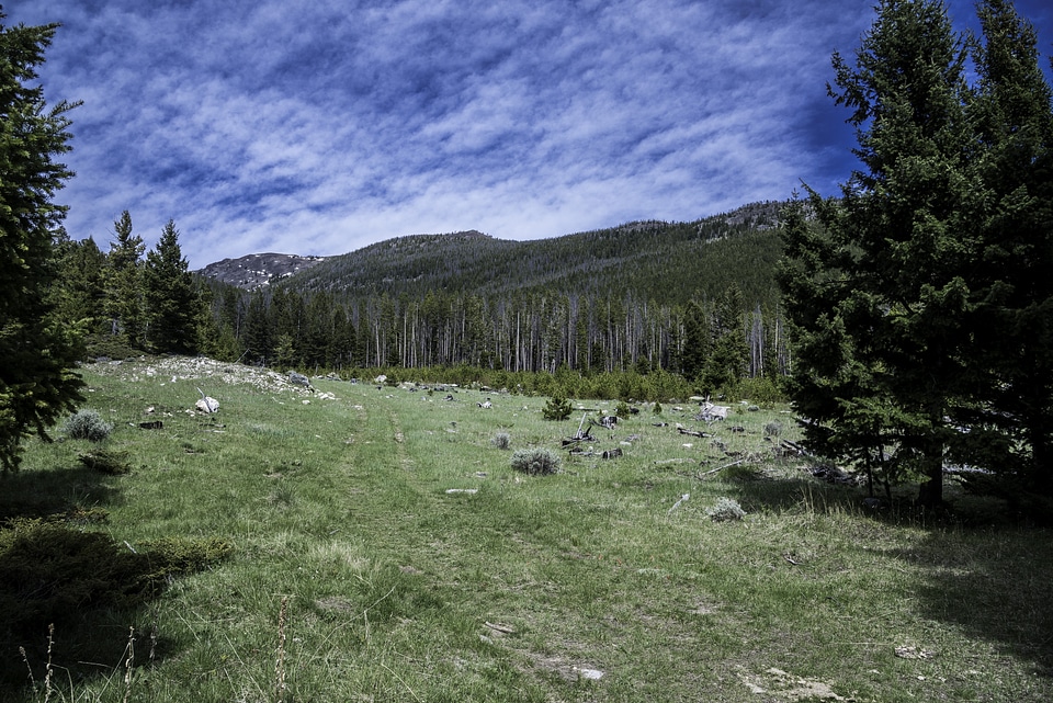 Green hills, grass field, and blue skies in the Elkhorn Mountains