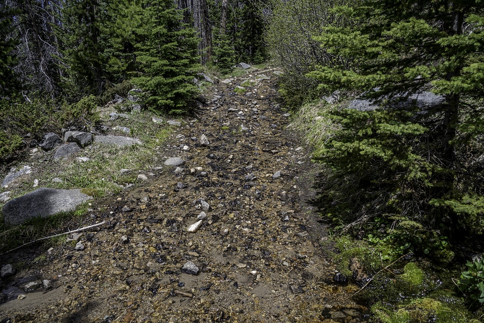 Streams of water rushing down the Mountain Side at Elkhorn Mountains