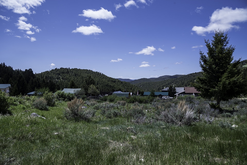 Vegetation and landscape of Elkhorn, Montana