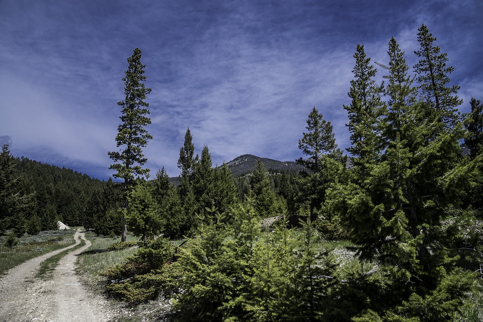 Blue Skies over the Elkhorn Trail