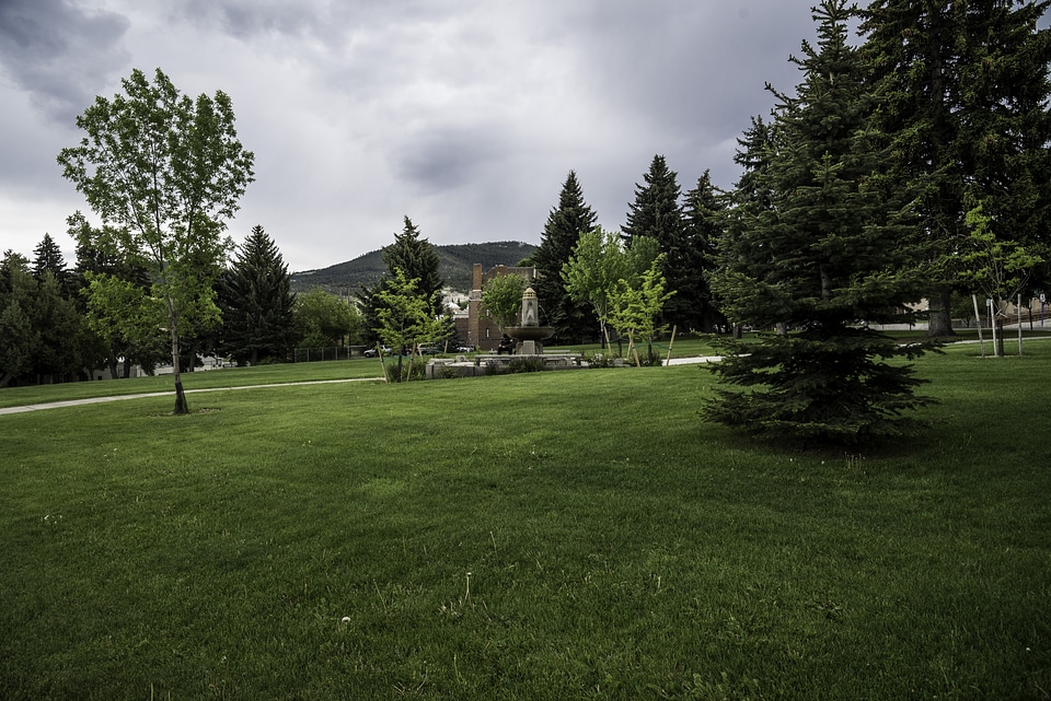 Grass lawn and trees in Helena Park