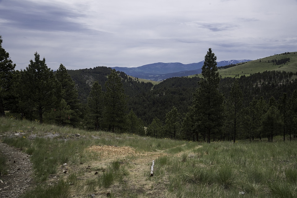 View from near the top of Mount Ascension in Helena