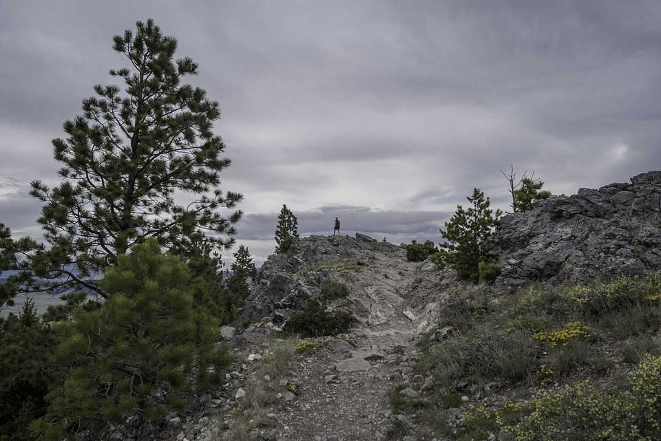 Guy looking at the scenery from Mount Helena