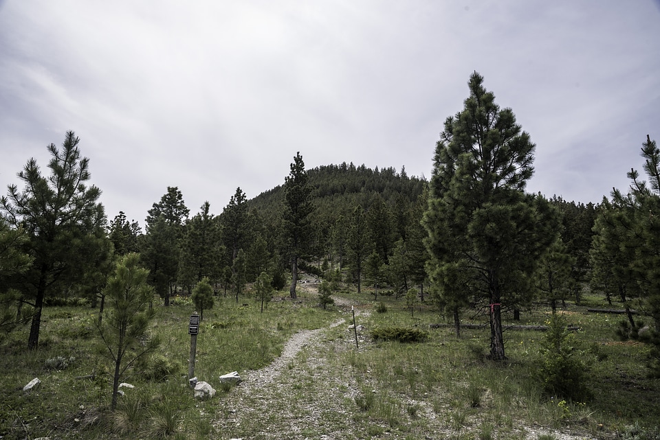 Starting the Mount Ascension Trail in Helena