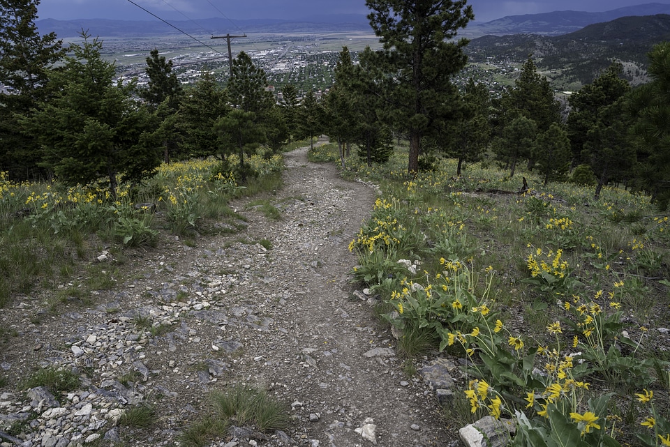 The powerline trail up Mount Helena