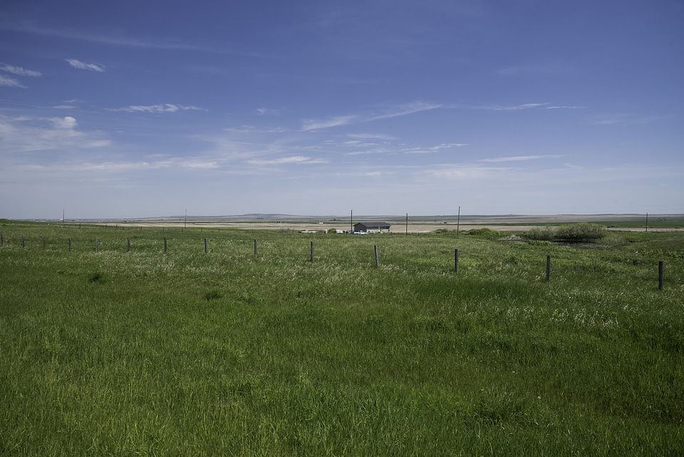 Grassland, Farm, and skies landscape in Alberta