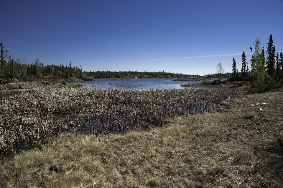 Marsh and Wetland Landscape on the Ingraham Trail